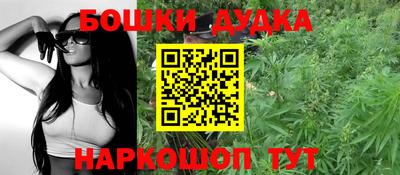 МДПВ Владикавказ