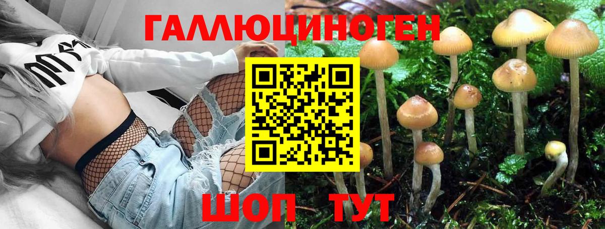 Владимир  Галлюциногенные грибы мухоморы  Вход с VPN 