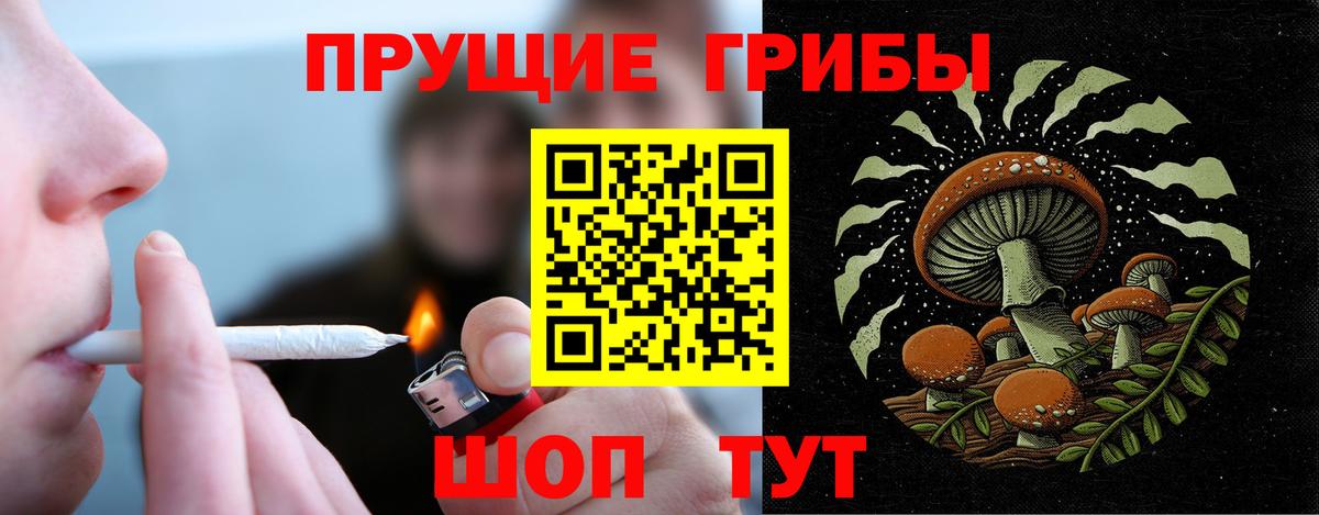 Галлюциногенные грибы Psilocybe Владимир